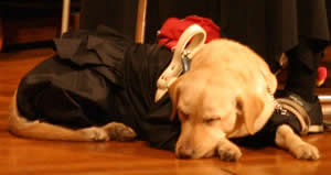 �铌���㉉�t��