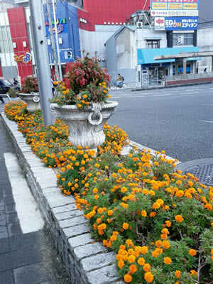 �铌���߁`�܂��`������c