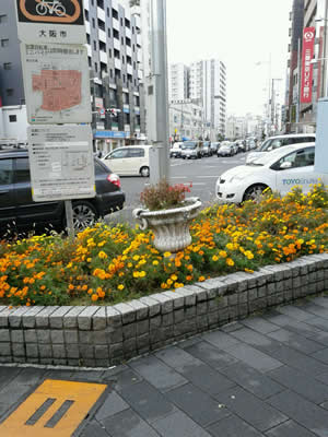 �铌���߁`�܂��`������c