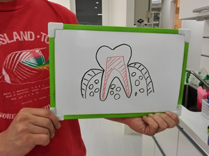 �����͂玕�Ȉ�@