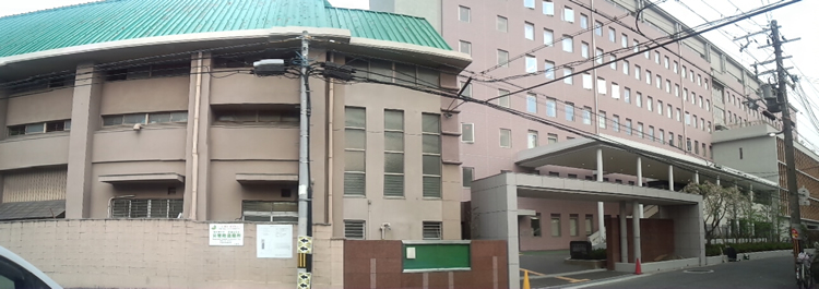 �J�������w�Z�E�J�����w�Z